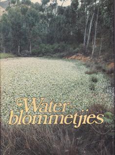 Waterblommetjies