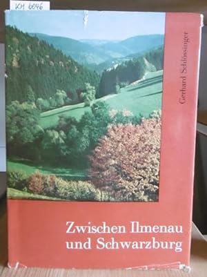 Seller image for Zwischen Ilmenau und Schwarzburg. Liebeserklrung an eine Landschaft. for sale by Versandantiquariat Trffelschwein