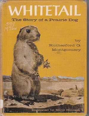 Seller image for Whitetail The Story of a Prairie Dog for sale by Ye Old Bookworm