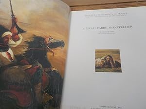 Seller image for Le Muse Fabre, Montpellier for sale by Antiquariat Bookfarm