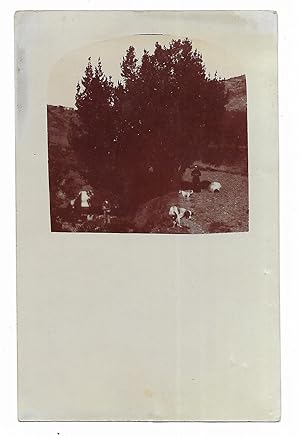 Fotografia paisaje.dos personas y perros. Tarjeta postal Union universal de Correos Leonar