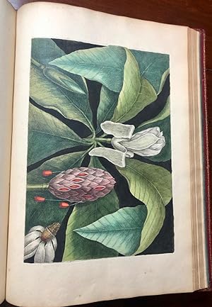 Imagen del vendedor de The Natural History of Carolina, Florida, and the Bahama Islands: Containing the Figures of Birds, Beasts, Fishes, Serpents, Insects, and Plants; Particularly the Forest-Trees, Shrubs, and other Plants, not hitherto Described. a la venta por Arader Galleries - AraderNYC