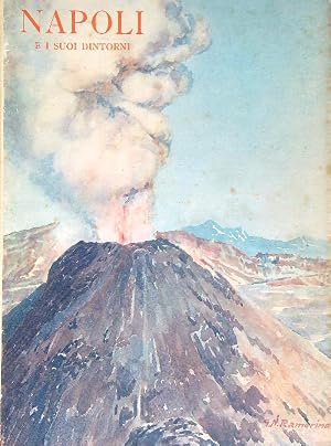 Seller image for Napoli e i suoi dintorni for sale by Librodifaccia