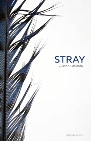 Seller image for Stray for sale by GreatBookPrices