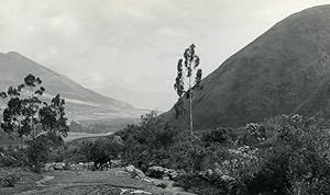 Ecuador Micias Boy of the Andes Landscape old Photo Gerard Beauvais 1965
