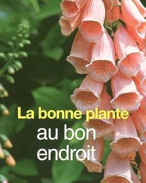 la bonne plante au bon endroit