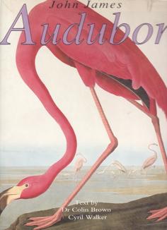 Image du vendeur pour John James Audubon: American Birds mis en vente par Eaglestones