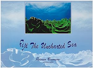 Seller image for Fiji the uncharted sea for sale by obiettivolibri