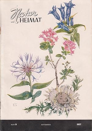 Seller image for Natur und Heimat. Heft 9 September 1957 for sale by Antiquariat Jterbook, Inh. H. Schulze