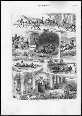 Seller image for 1880 - Antique Print NEW ZEALAND Hot Lakes Rotomahana Springs Horses (245) for sale by Antique Paper Company