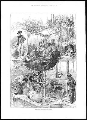 Seller image for 1885 SCENES IN AN ENGLISH HOP GARDEN Hop Picking Crushing (035) for sale by Antique Paper Company