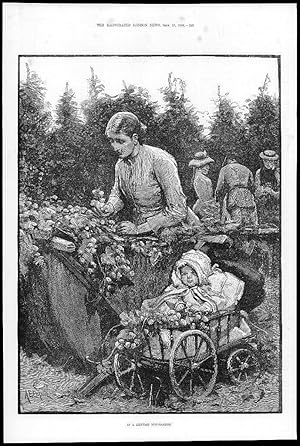 Seller image for 1884 Antique Print - KENT Hop Garden Hoops Baby Pram (72) for sale by Antique Paper Company