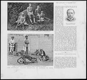 Seller image for 1893 - Antique Print INDIA Archduke Francis Ferdinand Austria Tigers Pine (20) for sale by Antique Paper Company