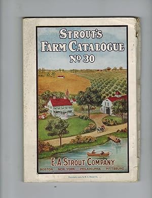 STROUT'S FARM CATALOGUE NO. 30