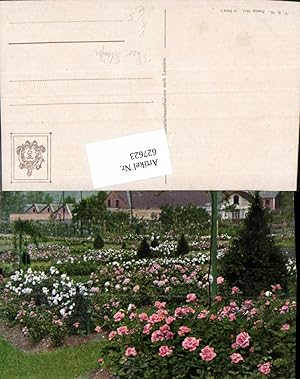 Bild des Verkufers fr 627623,Knstler Ak Garten Rosen Blumen Park pub Theo Stroefer 1341 zum Verkauf von Versandhandel Lehenbauer