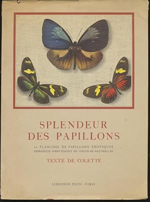 Splendeur des papillons. 12 planches de papillons exotiques reproduits directement en couleurs na...