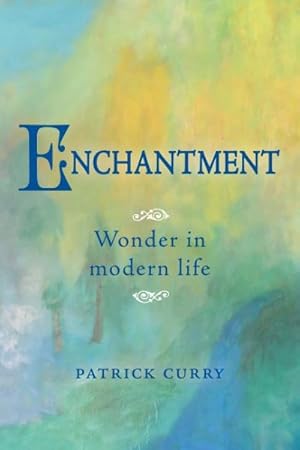 Imagen del vendedor de Enchantment : Wonder in Modern Life a la venta por GreatBookPrices