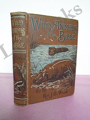 WILD ANIMALS OF THE BIBLE FROM BIBLE ANIMALS