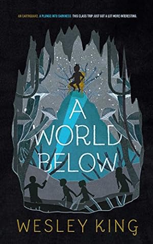 Imagen del vendedor de A World Below by King, Wesley [Hardcover ] a la venta por booksXpress