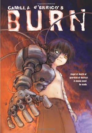 Seller image for Camilla d'Errico's Burn by d'Errico, Camilla, Sanders, Scott [Paperback ] for sale by booksXpress