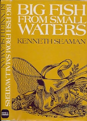 Imagen del vendedor de Big Fish from Small Waters a la venta por Barter Books Ltd