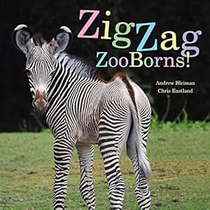 Image du vendeur pour ZigZag ZooBorns!: Zoo Baby Colors and Patterns by Bleiman, Andrew, Eastland, Chris [Paperback ] mis en vente par booksXpress