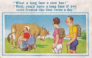 Transvestite Milking A Cow Comic Farming Postcard