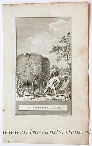 [Bookillustration etching/ets] De Springkhaan (De Sprinkhaan), from C.F. Gellerts Fabelen en Vert...