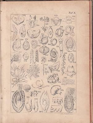 Seller image for Taschenbuch der Botanik. for sale by Fachbuchhandlung H. Sauermann