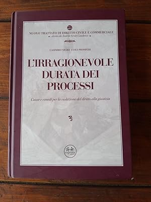 Imagen del vendedor de L'irragionevole durata dei processi. Cause e rimedi per la violazione del diritto alla giustizia a la venta por librisaggi