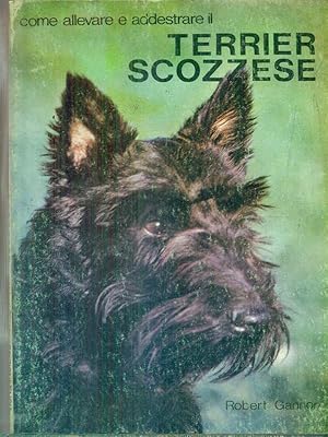 Come allevare e addestrare il Terrier Scozzese