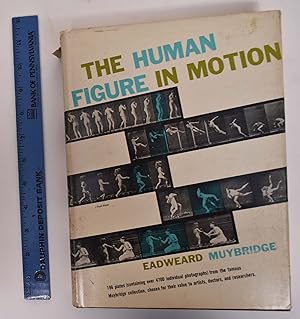 The Human Figure in Motion