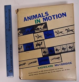 Animals in Motion