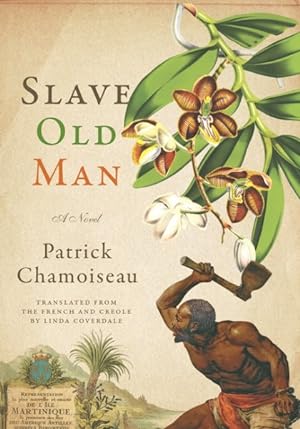 Immagine del venditore per Slave Old Man venduto da GreatBookPrices