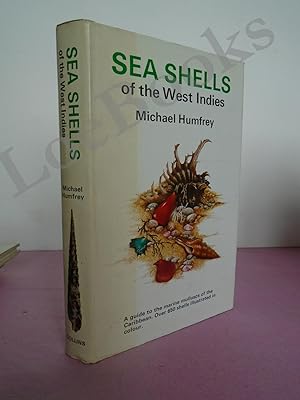 SEA SHELLS OF THE WEST INDIES A Guide to the Marine Molluscs of the Caribbean