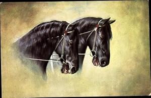 Bild des Verkufers fr Knstler Ansichtskarte / Postkarte Zwei schwarze Pferde zum Verkauf von akpool GmbH