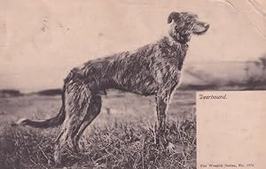 Image du vendeur pour Deerhound Fox Hunting Wrench Series Antique Postcard mis en vente par Postcard Finder