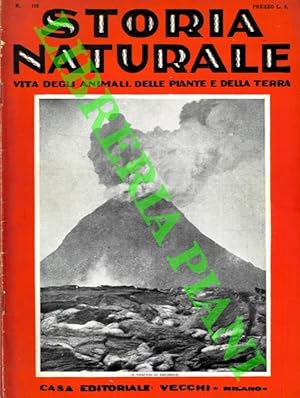Seller image for Storia naturale. Vita degli animali, delle piante e della terra. Volume IV. Geologia. for sale by Libreria Piani