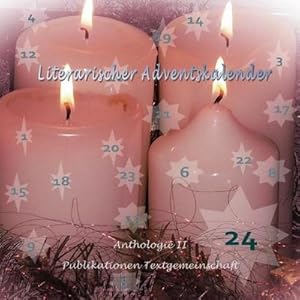 Bild des Verkufers fr Literarischer Adventskalender zum Verkauf von AHA-BUCH GmbH