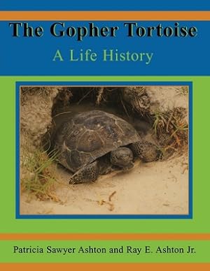 Seller image for The Gopher Tortoise: A Life History (Paperback or Softback) for sale by BargainBookStores