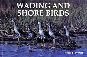 Imagen del vendedor de Wading and Shore Birds a la venta por GreatBookPrices