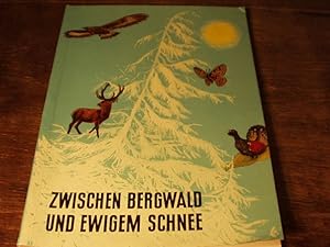 Seller image for ZWISCHEN BERGWALD UND EWIGEM SCHNEE.- Die Heimat der Alpentiere. for sale by Antiquariat Bebuquin (Alexander Zimmeck)