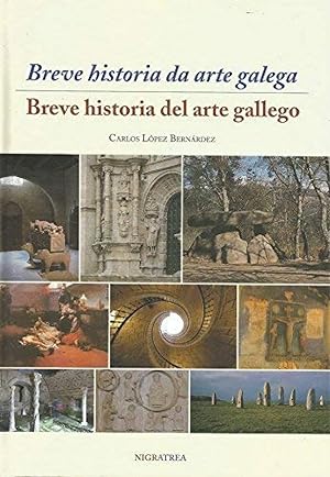 Imagen del vendedor de Breve historia da arte galega/breve historia del arte gallega a la venta por Imosver