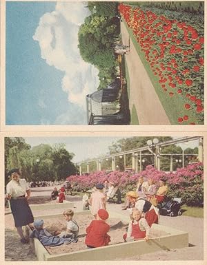 School Trip Goteborgs Tradgardsforening Garden Society of Gothenburg Sweden 2x Postcard s
