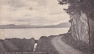 Arbutus Rock Waterville County Kerry Antique Postcard