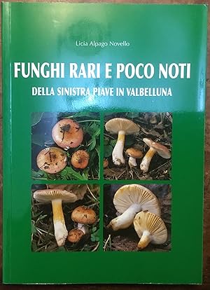 Funghi rari e poco noti Sinistra Piave in Valbelluna