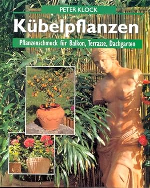 Kübelpflanzen : Pflanzenschmuck für Balkon, Terrasse und Dachgarten.