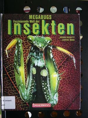 Image du vendeur pour Megabugs : Faszinierende Welt der Insekten mis en vente par Antiquariat im Kaiserviertel | Wimbauer Buchversand