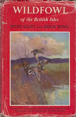 Bild des Verkufers fr WILDFOWL OF THE BRITISH ISLES. By Peter Scott and Hugh Boyd. zum Verkauf von Coch-y-Bonddu Books Ltd