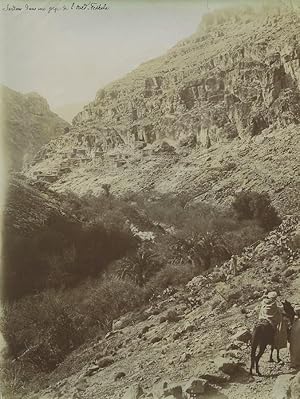 Algeria gardens in Gorge of Oued Fedhala Wadi Old Photo Emile Frechon 1900